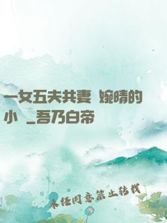 一女五夫共妻蘇婉晴的小說