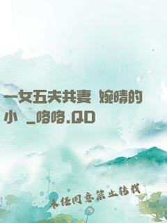 一女五夫共妻蘇婉晴的小說