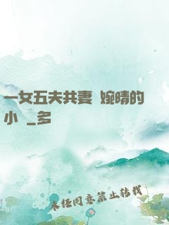 一女五夫共妻蘇婉晴的小說