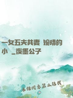 一女五夫共妻蘇婉晴的小說