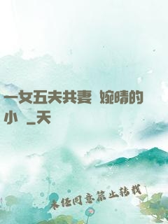 一女五夫共妻蘇婉晴的小說