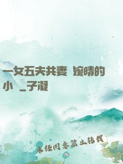 一女五夫共妻蘇婉晴的小說