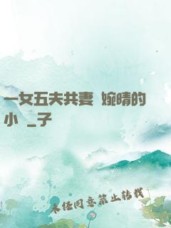 一女五夫共妻蘇婉晴的小說