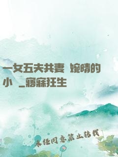 一女五夫共妻蘇婉晴的小說
