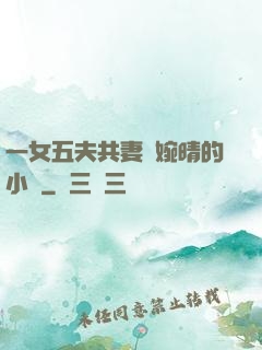 一女五夫共妻蘇婉晴的小說