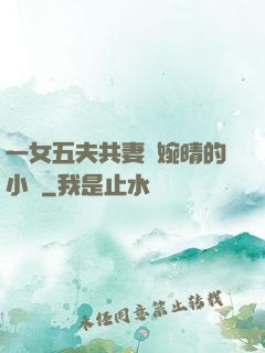一女五夫共妻蘇婉晴的小說