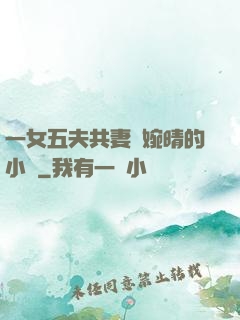 一女五夫共妻蘇婉晴的小說