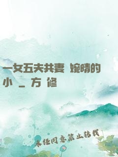 一女五夫共妻蘇婉晴的小說
