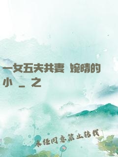 一女五夫共妻蘇婉晴的小說