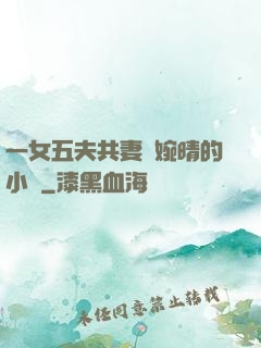 一女五夫共妻蘇婉晴的小說
