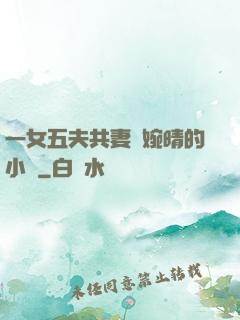 一女五夫共妻蘇婉晴的小說