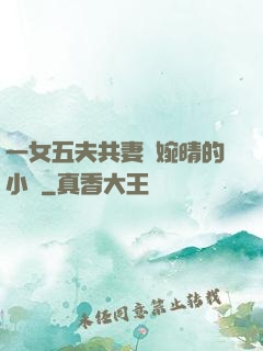 一女五夫共妻蘇婉晴的小說