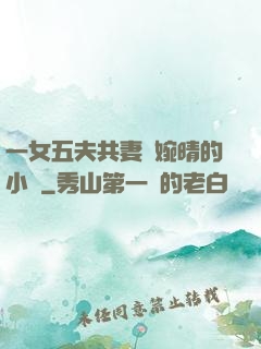 一女五夫共妻蘇婉晴的小說