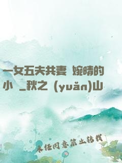 一女五夫共妻蘇婉晴的小說