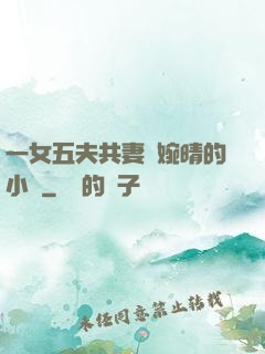 一女五夫共妻蘇婉晴的小說