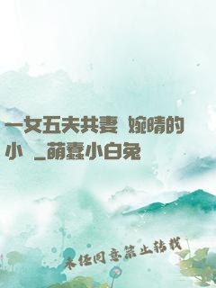 一女五夫共妻蘇婉晴的小說
