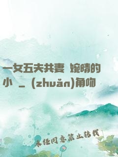 一女五夫共妻蘇婉晴的小說