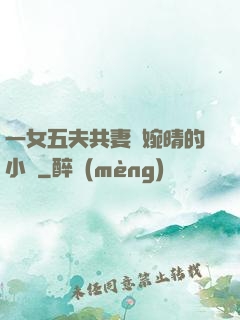 一女五夫共妻蘇婉晴的小說