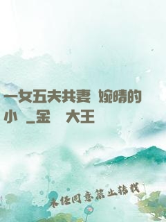 一女五夫共妻蘇婉晴的小說