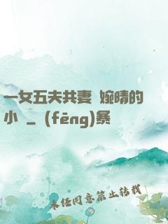 一女五夫共妻蘇婉晴的小說