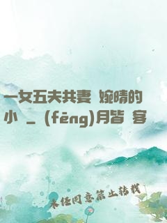 一女五夫共妻蘇婉晴的小說