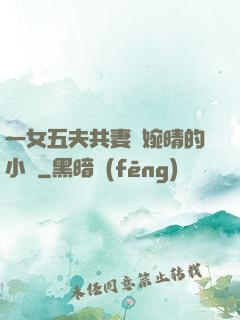 一女五夫共妻蘇婉晴的小說