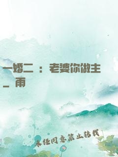 一婚二寵：老婆你做主