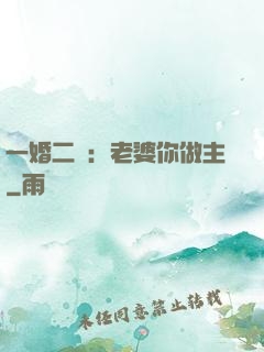 一婚二寵：老婆你做主