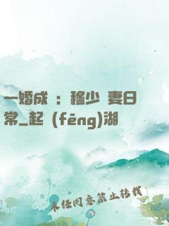 一婚成癮：穆少寵妻日常