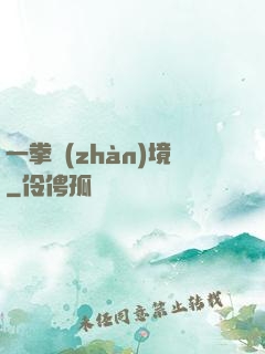 一拳戰(zhàn)境