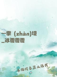 一拳戰(zhàn)境