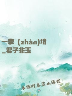 一拳戰(zhàn)境