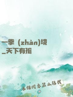 一拳戰(zhàn)境