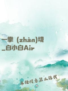 一拳戰(zhàn)境