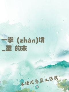 一拳戰(zhàn)境