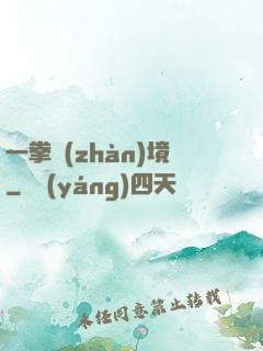 一拳戰(zhàn)境