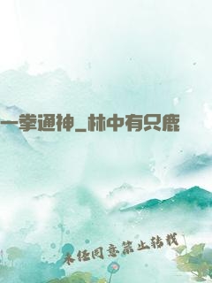一拳通神