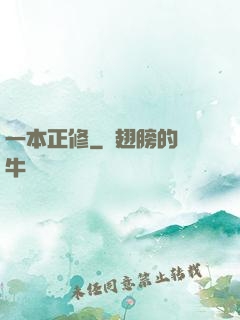 一本正修