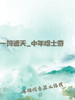 一符遮天