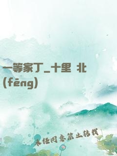 一等家丁