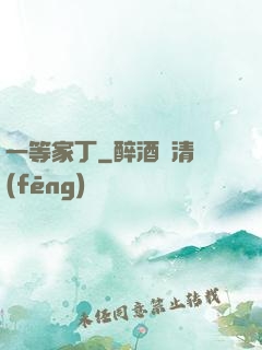 一等家丁