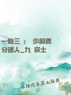 一胎三寶：陸少前妻過分迷人