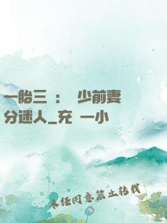 一胎三寶：陸少前妻過分迷人