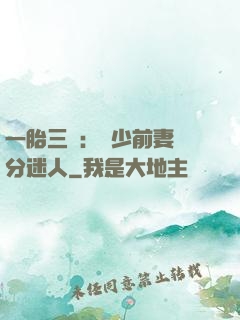 一胎三寶：陸少前妻過分迷人