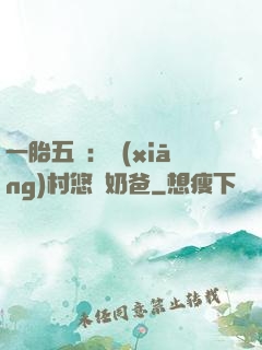 一胎五寶：鄉(xiāng)村悠閑奶爸