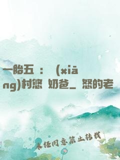 一胎五寶：鄉(xiāng)村悠閑奶爸