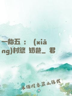 一胎五寶：鄉(xiāng)村悠閑奶爸