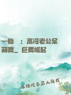 一胎兩寶：高冷老公呆萌妻
