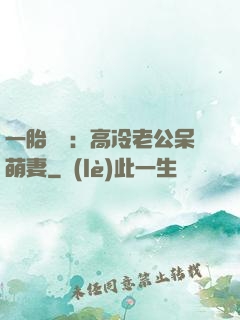 一胎兩寶：高冷老公呆萌妻