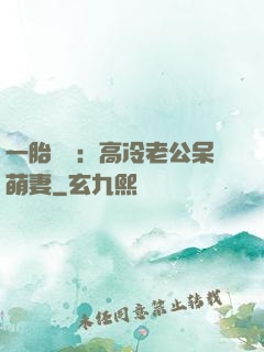 一胎兩寶：高冷老公呆萌妻